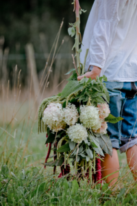 tarkaed-aedhortensia-hydrangea-paniculata (1)