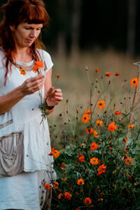 tarkaed-väävelkollane-kosmos-cosmos-sulphureus-v