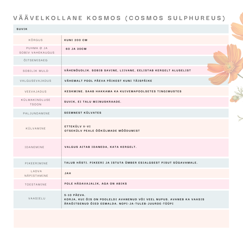 väävelkollane-kosmos-cosmos-sulphureus-taimekaart