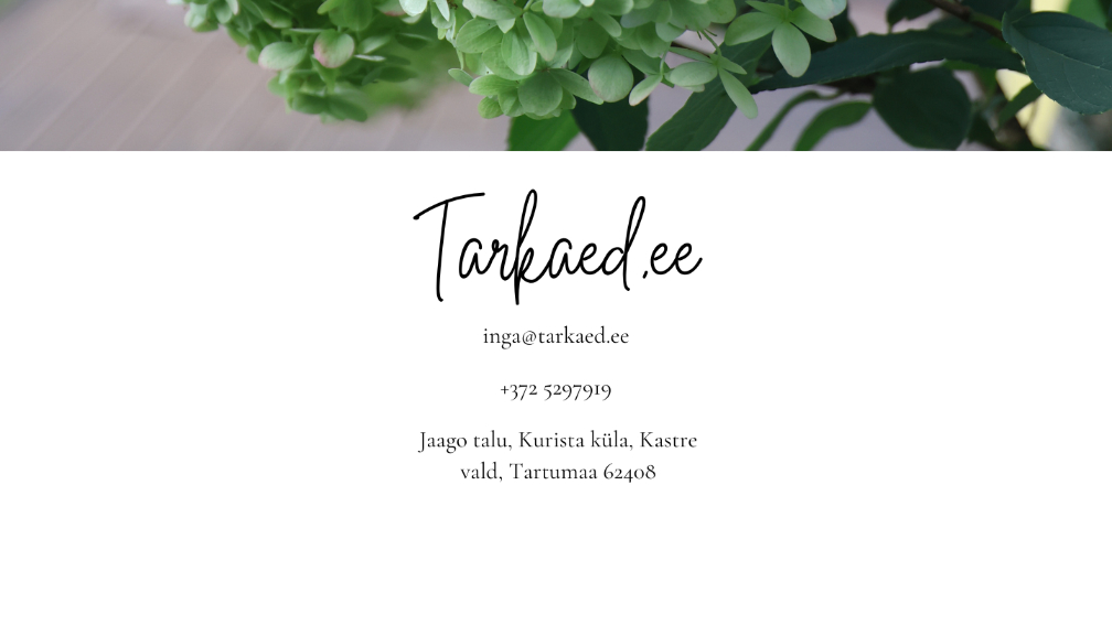 tarkaed-mis-on-tark-aed-esitlus-v (10)